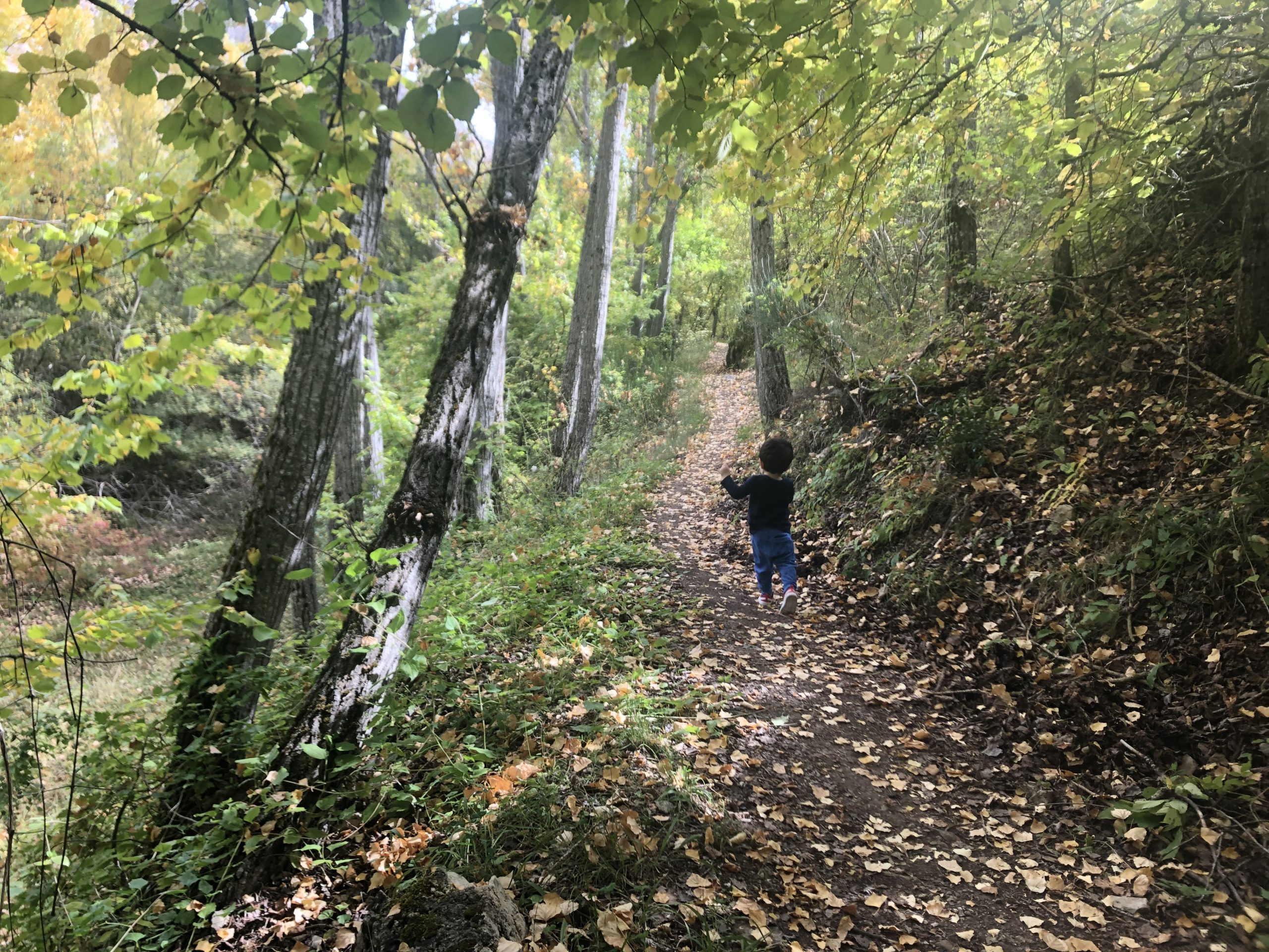 Soltar con el otoño